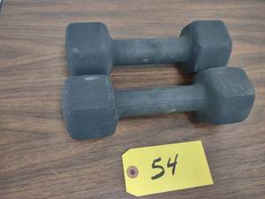 lot 54 image: (2) 10 lb. Dumbbells...