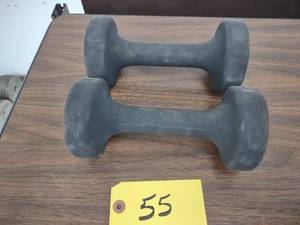lot 55 image: (2) 10 lb. Dumbbells...