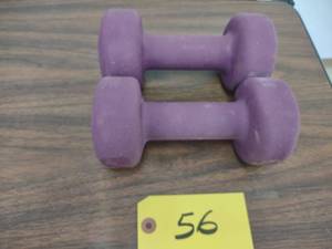 lot 56 image: (2) 10 lb. Dumbbells...