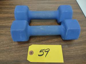 lot 59 image: (2) 8 lb. Dumbbells...