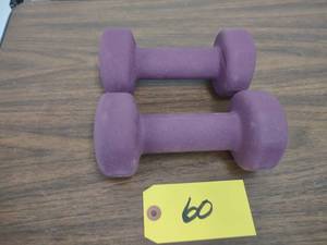 lot 60 image: (2) 8 lb. Dumbbells...