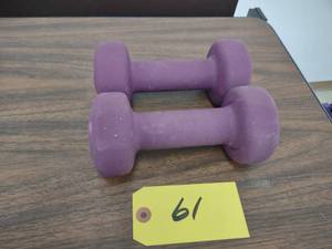 lot 61 image: (2) 8 lb. Dumbbells...
