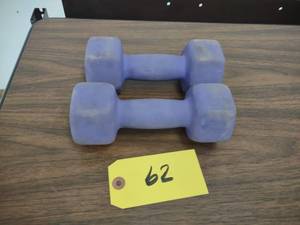 lot 62 image: (2) 8 lb. Dumbbells...