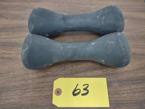 lot 63 image: (2) 8 lb. Dumbbells...