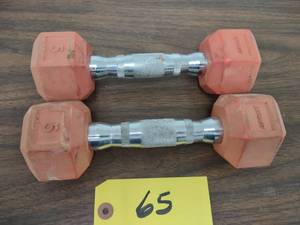 lot 65 image: (2) 5 lb. Dumbbells...