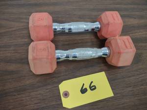 lot 66 image: (2) 5 lb. Dumbbells...