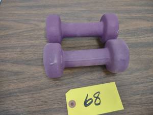 lot 68 image: (2) 5 lb. Dumbbells...