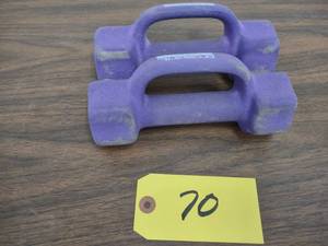 lot 70 image: (2) 5 lb. Dumbbells...