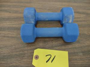 lot 71 image: (2) 5 lb. Dumbbells...
