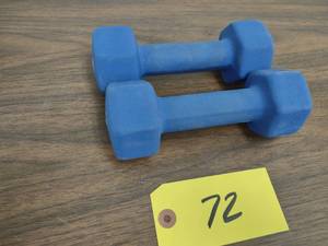 lot 72 image: (2) 5 lb. Dumbbells...