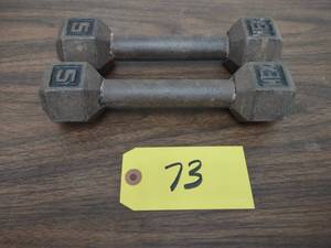 lot 73 image: (2) 5 lb. Dumbbells...