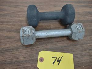 lot 74 image: (2) 5 lb. Dumbbells...