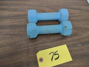 lot 75 image: (2) 3 lb. Dumbbells...