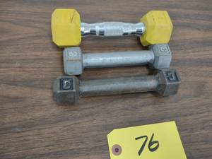 lot 76 image: (3) 3 lb. Dumbbells...