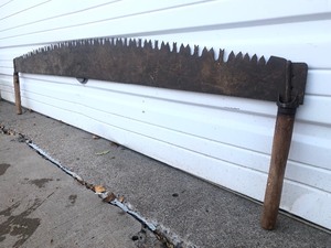 lot 51 image: Very Nice LARGE Antique 2-Man Saw