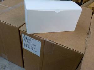 Case of 250 Bio-Detek White Self Closing Boxes 9 x 4 x 4