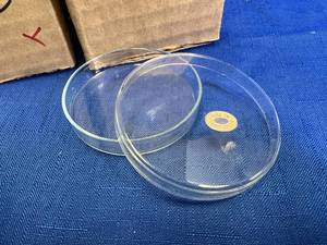 lot 20 image: 24 - 75x10 Vintage Czechoslovakian Made Petri Dishes Brand New