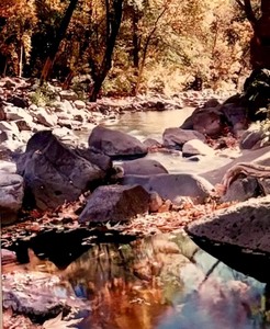 lot 41 image: Framed Scenic Photograph Print