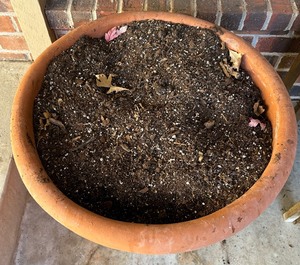lot 103 image: Large Plastic Planter