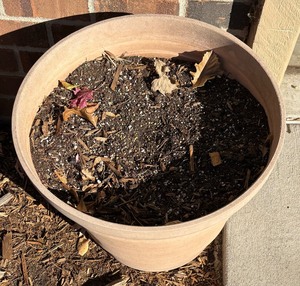 lot 107 image: Practical Resin Planter