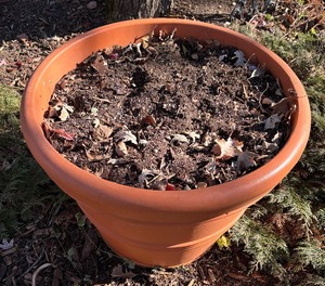 lot 117 image: Large Plastic Planter