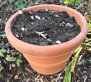 lot 135 image: Plastic Planter