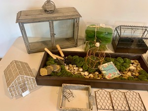 lot 74 image: Everything You Need To Start a Fantastic Fairy Garden