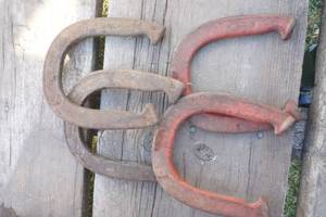 lot 148 image: horse shoes