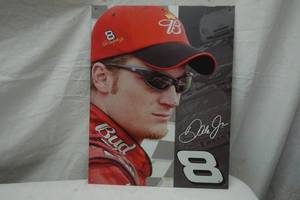 lot 509 image: Dale Earnhardt Jr tin sign