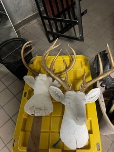 lot 88 image: Large Lot of Plastic Imitation Mounts In Assorted Styles