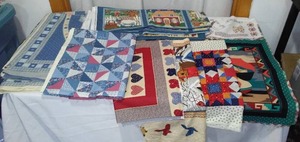 Pillow and Curtain Panels.
