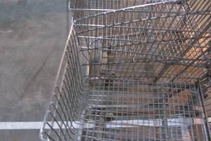 Set of 2 Large and Small Shopping Carts