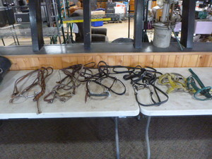 lot 10 image: 4 Bridles