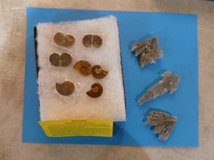 lot 65 image: Ammonite and Crystals