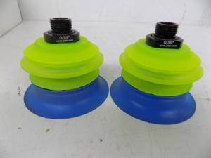 lot 156 image: 13 COUNT - VACUUM CUPS 6 38 PLAG