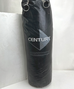 lot 1262 image: Punching Bag by CENTURY