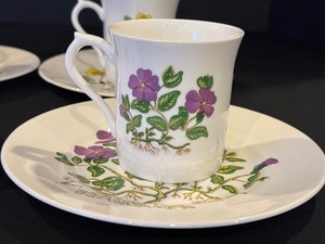lot 230 image: Queens Floxa Botanical Desert Plates and Mug Set