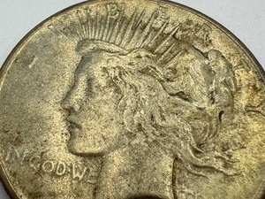 lot 306 image: 1925 United States Peace Dollar Coin