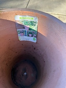 lot 27 image: Clay Planter pots