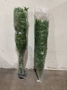 Dr. Planzen 5 ft. Artificial Areca Palm Tree in Pot