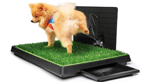 Hompet Dog Grass Pad with Tray Large