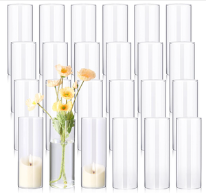 24 Pcs 8 Inch Tall Glass Vases