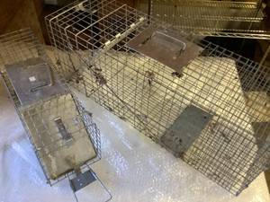 Live Animal Traps