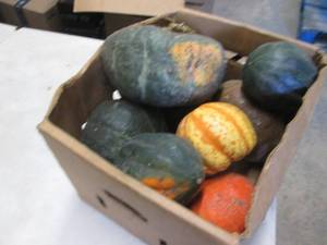 lot 92 image: Box of Assorted Winter Squash...