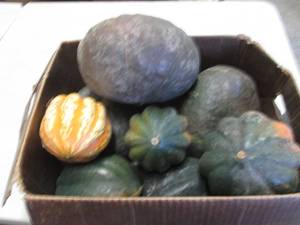 lot 93 image: Box of Assorted Winter Squash...