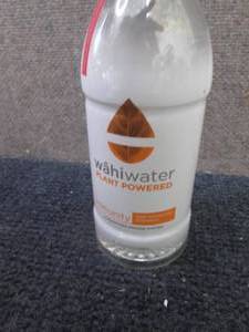 lot 108 image: 12- 16.9 oz Bottles Immunity Wahi W...