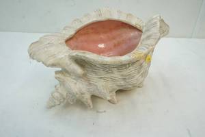 lot 114 image: Sea Shell Vase