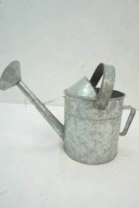 lot 119 image: Watering Can