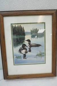 lot 145 image: Loon Picture 8.5x11