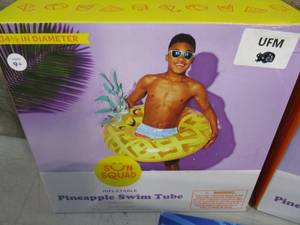 lot 14 image: Set of 3 Pineapple Swim Tube 1 Hand Pump
